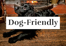 Dog Friendly Pubs & Inns