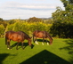 Barton Bank Cottage - Gallery - picture 