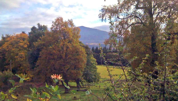 Rose Cottage, Dunalastair Estate - Gallery