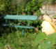 La Maison de Laurence - Gallery - picture 