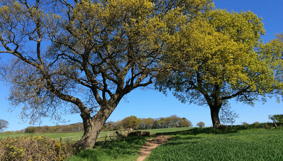 Backwood Hall Holiday Cottages - Gallery