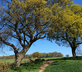 Backwood Hall Holiday Cottages - Gallery - picture 