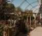 The Roebuck Inn - Gallery - picture 