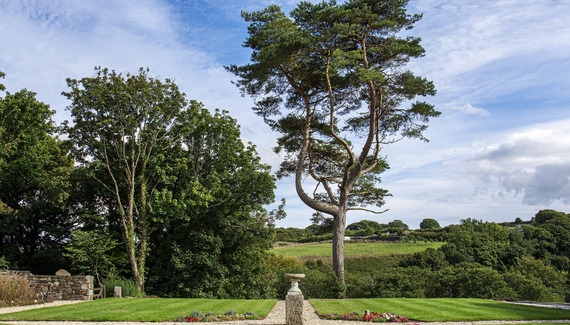 Cusgarne Manor - Gallery