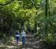 Cusgarne Manor - Gallery - picture 