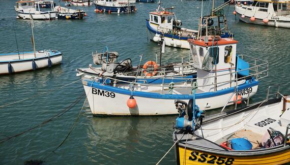 Harbour Inn - Gallery