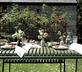 Middle Colenso Farm - Gallery - picture 