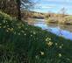 Penpoll - Gallery - picture 
