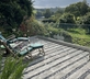 Penpoll - Gallery - picture 