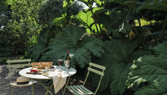 Smugglers Lane at Middle Colenso Farm - Gallery