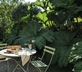 Smugglers Lane at Middle Colenso Farm - Gallery - picture 