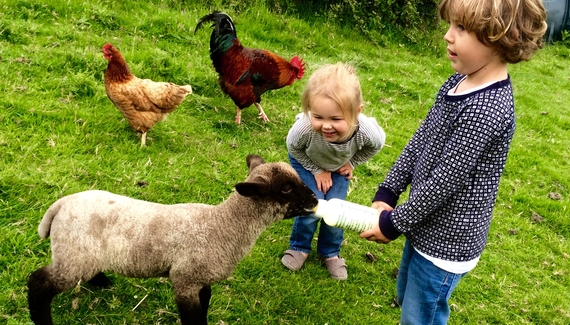 The Old Barn, Lower Tresithick Farm - Gallery
