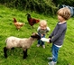 The Old Barn, Lower Tresithick Farm - Gallery - picture 