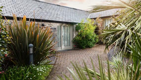 The Plume of Feathers - Gallery