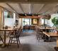 The Plume of Feathers - Gallery - picture 