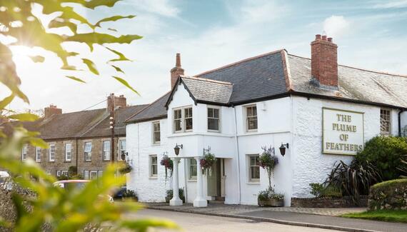 The Plume of Feathers - Gallery