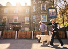 The Wellington