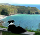 The Farmhouse at Treworgey - Gallery - picture 