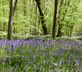 The Farmhouse at Treworgey - Gallery - picture 