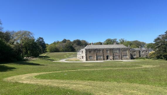 Trelowarren - Gallery