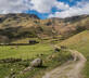 Abbott Moss - Gallery - picture 