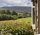Brownber House - Gallery - picture 