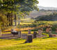 High Barn - Gallery - picture 