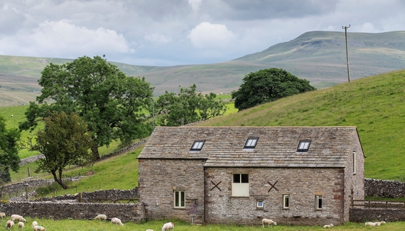 Stay Lambing Live - Gallery