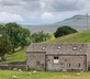 Stay Lambing Live - Gallery - picture 