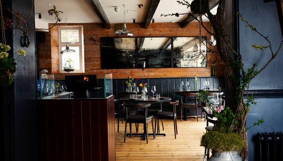 The Black Bull - Gallery