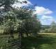 The Hayloft, Cumrew House - Gallery - picture 