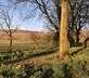 The Hayloft, Cumrew House - Gallery - picture 