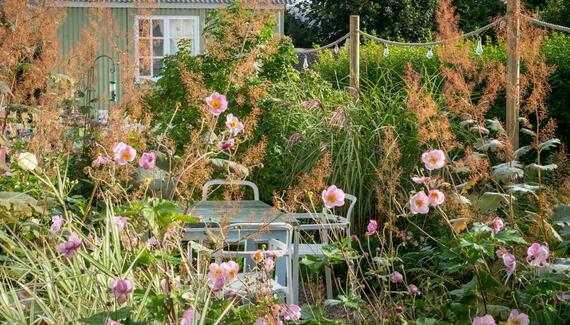 The Mount B&B - Gallery