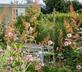 The Mount B&B - Gallery - picture 