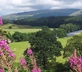 The Sun Inn - Gallery - picture 