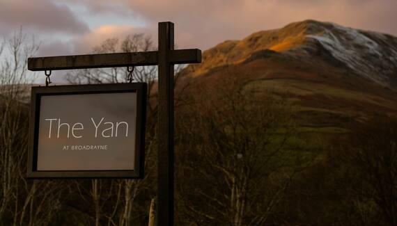 The Yan - Gallery