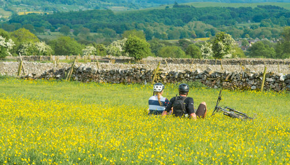 The Stables at Rocking Stone Farm - Gallery