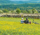 The Stables at Rocking Stone Farm - Gallery - picture 