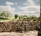 The Stables at Rocking Stone Farm - Gallery - picture 