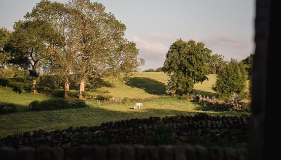The Stables at Rocking Stone Farm - Gallery