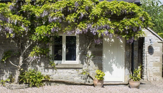 Wisteria Cottage - Gallery