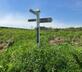 Affeton Barton - Gallery - picture 