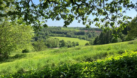 Affeton Barton - Gallery