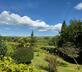 Bowden Wood - Gallery - picture 
