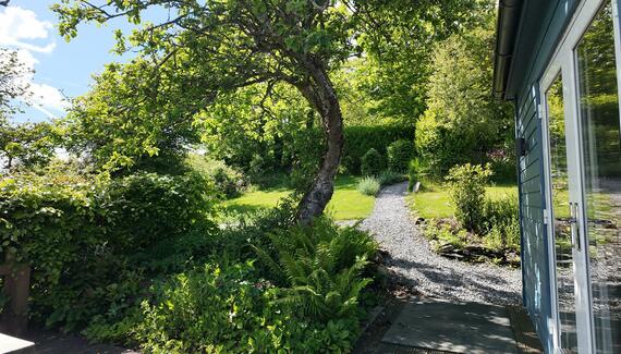 Bowden Wood - Gallery
