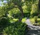 Bowden Wood - Gallery - picture 