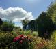 Bowden Wood - Gallery - picture 