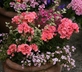 Brook Farmhouse - Gallery - picture 