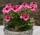 Brook Farmhouse - Gallery - picture 