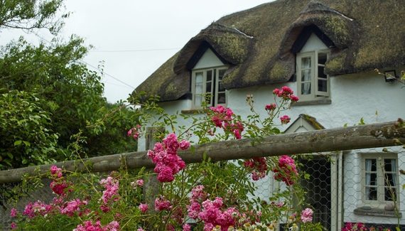 Brook Farmhouse - Gallery